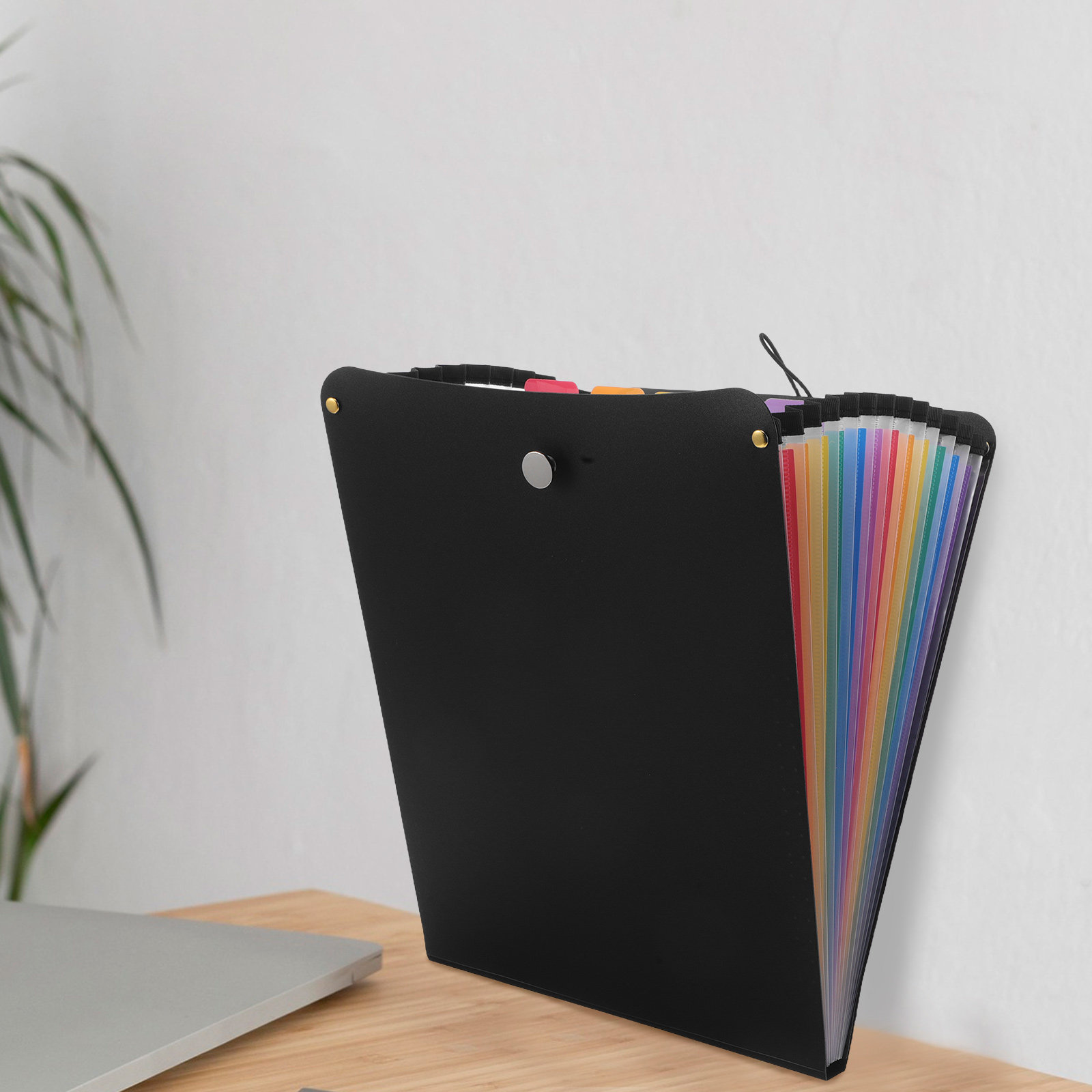 A4 Accordion File Organizer 13 - Expandable Accordion File Folder 13 Pockets 评论和价格